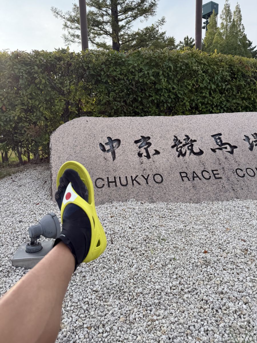 走行画像