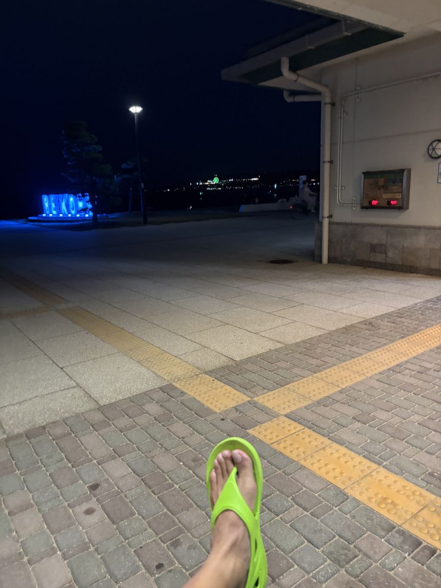 走行画像