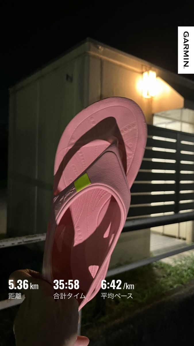 走行画像