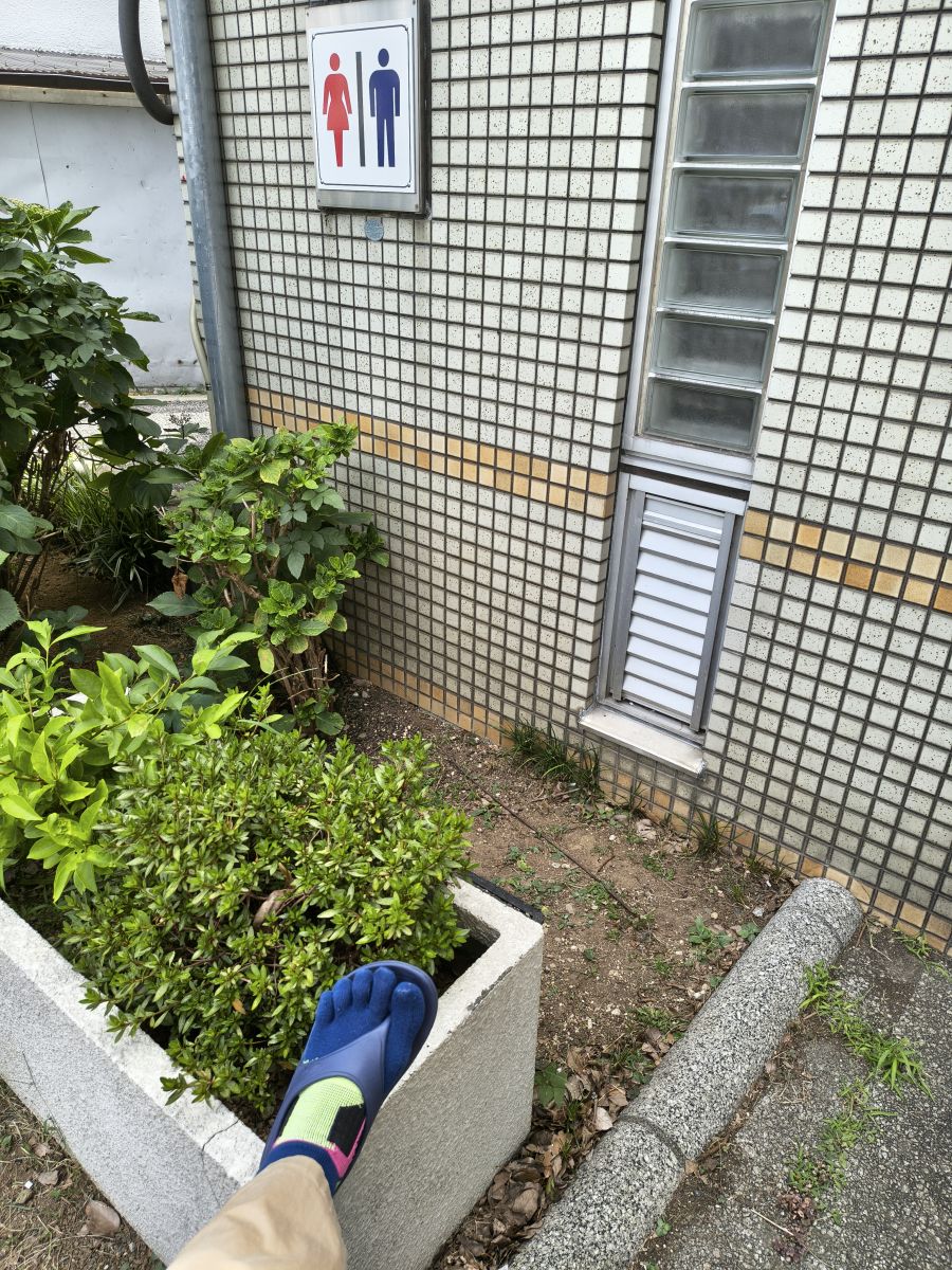 走行画像