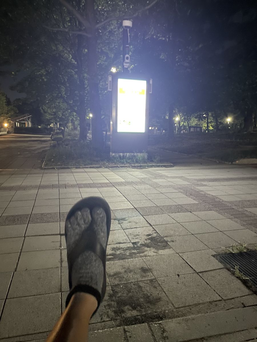 走行画像