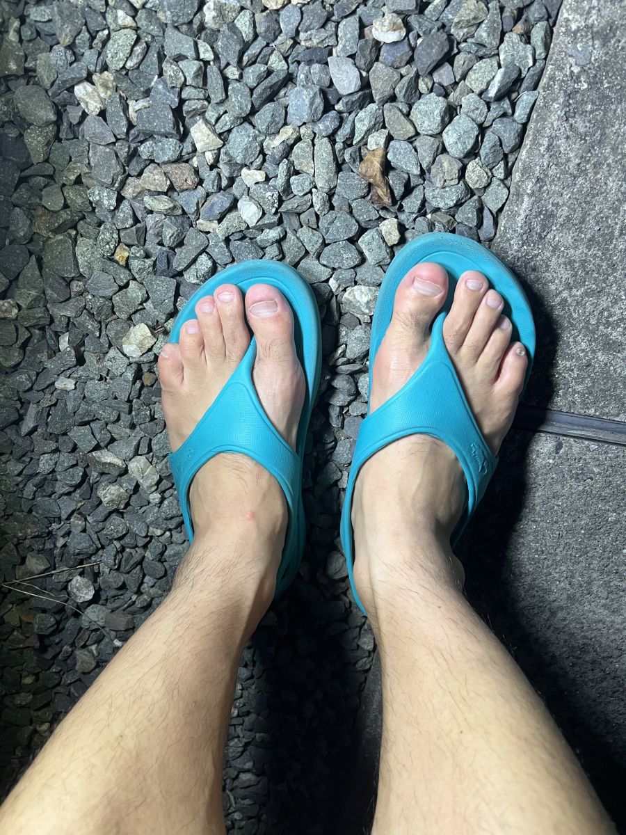 走行画像