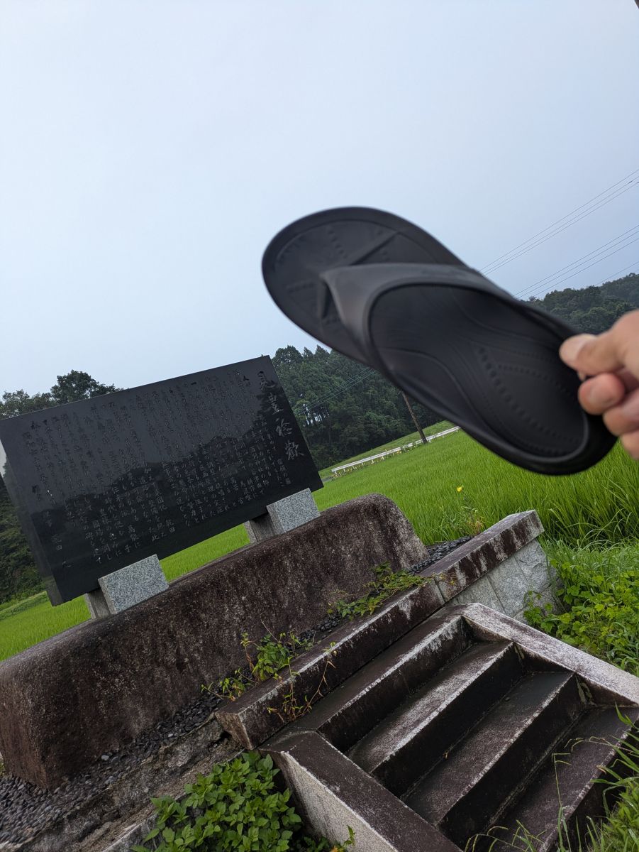 走行画像