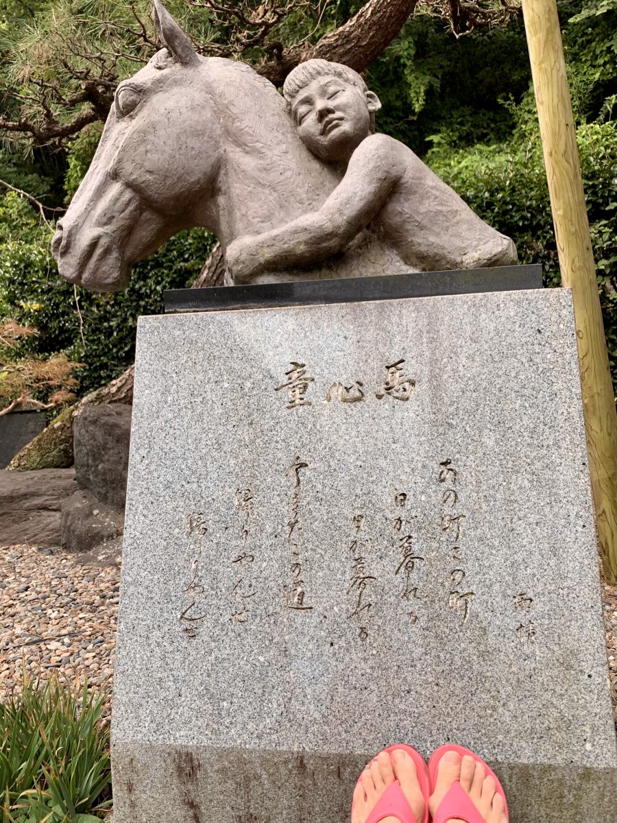 走行画像