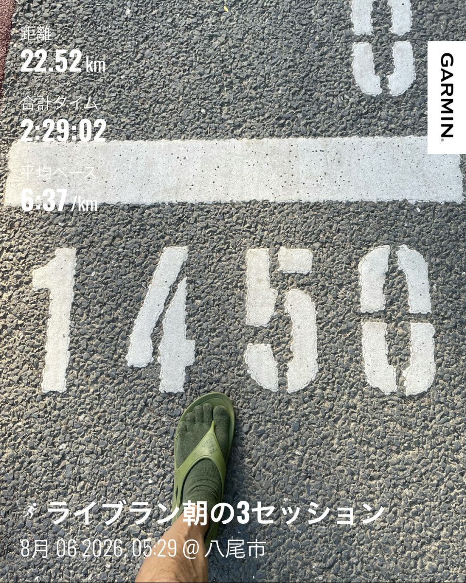 走行画像
