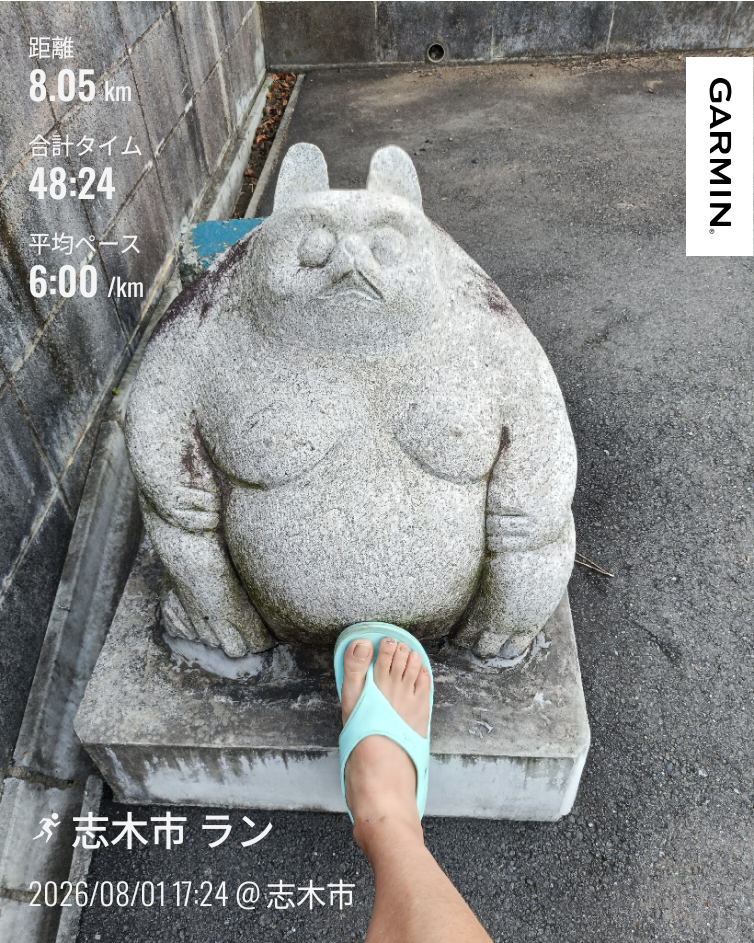 走行画像