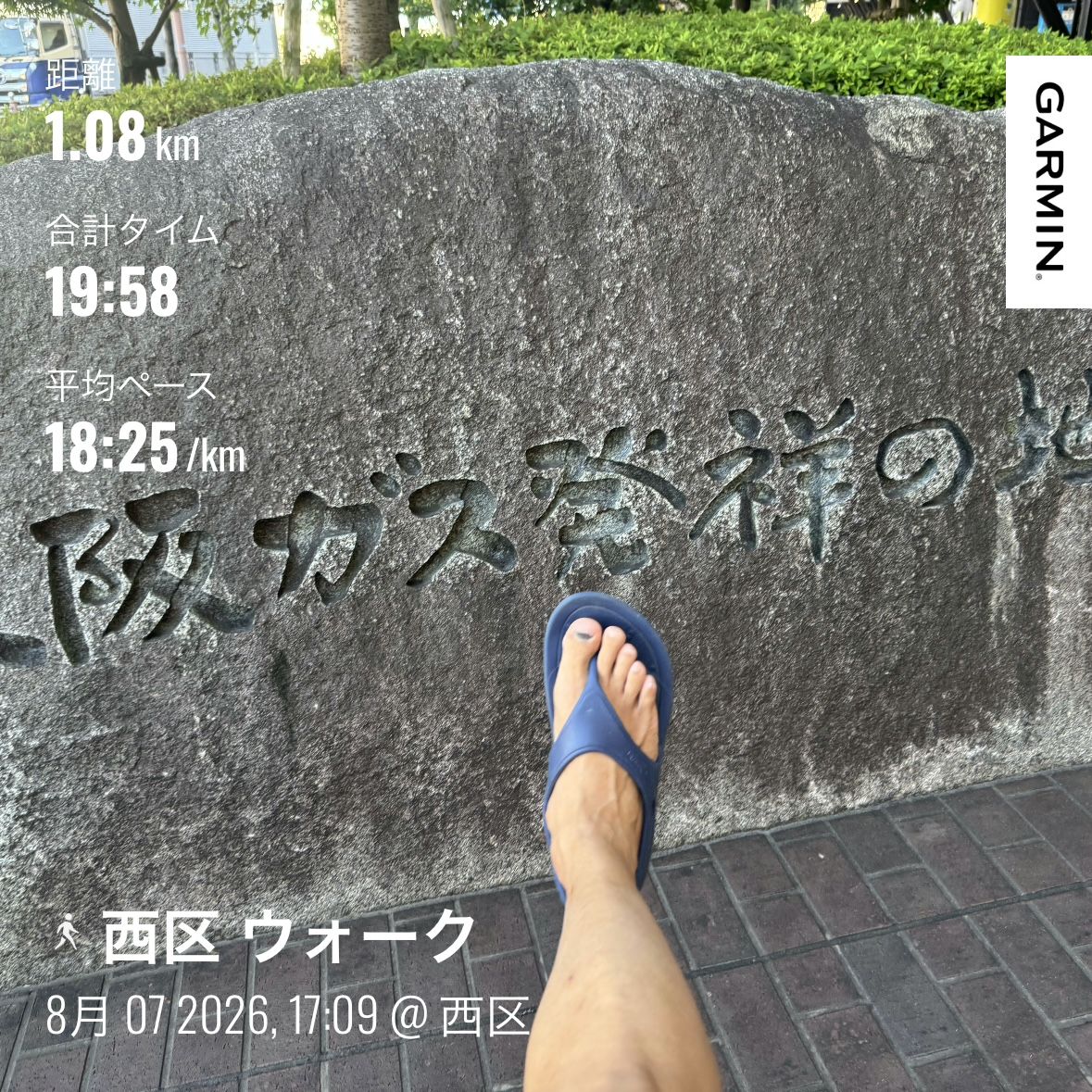 走行画像