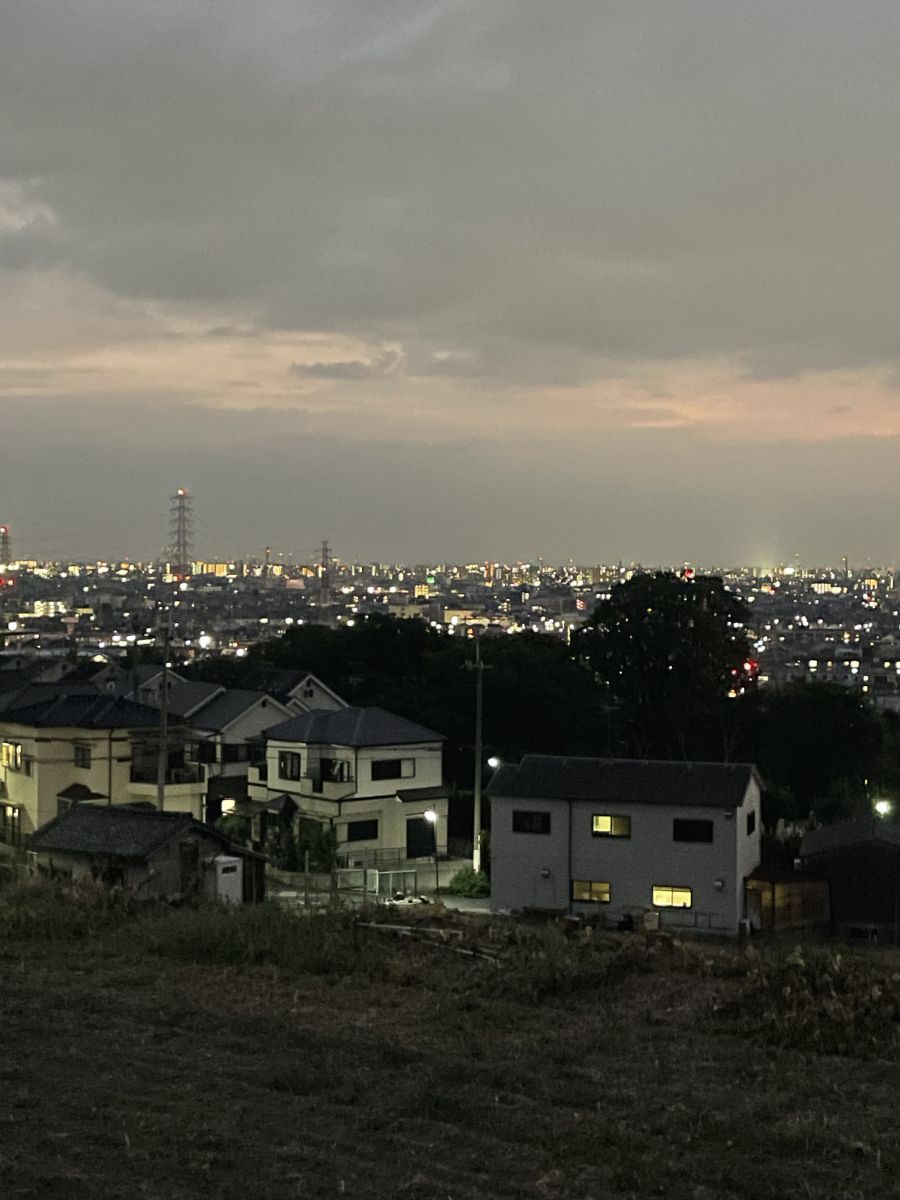 走行画像