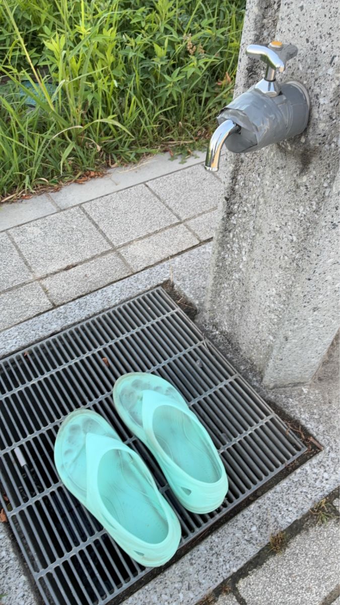 走行画像