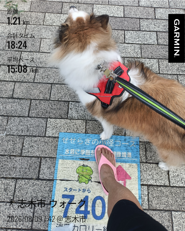 走行画像