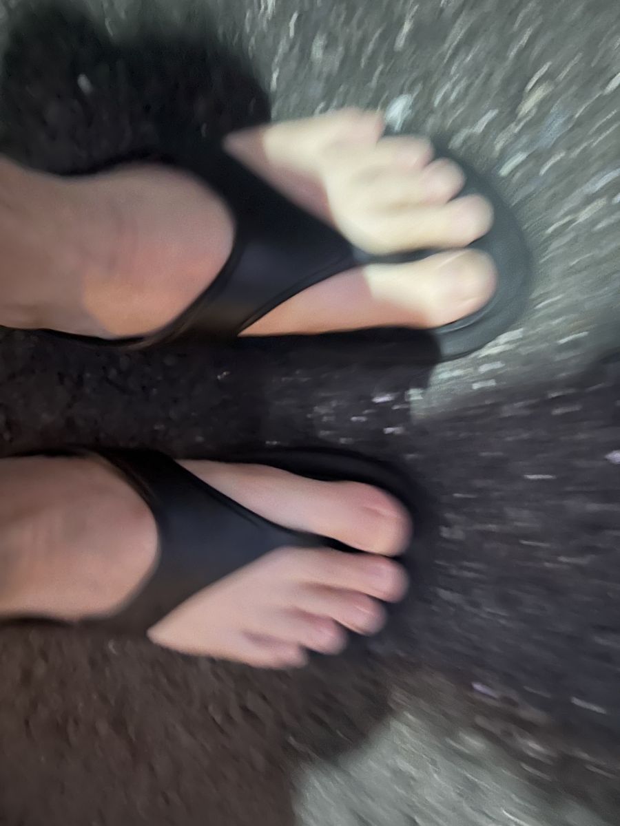 走行画像