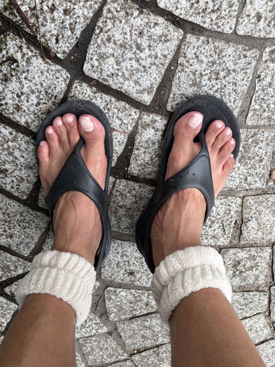 走行画像