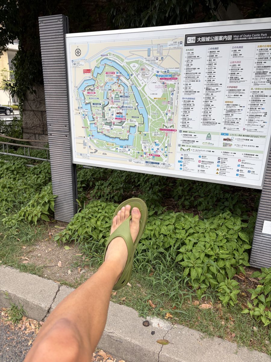 走行画像