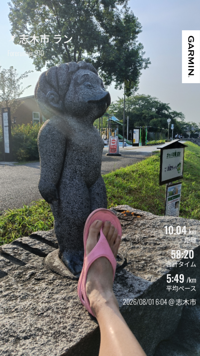 走行画像