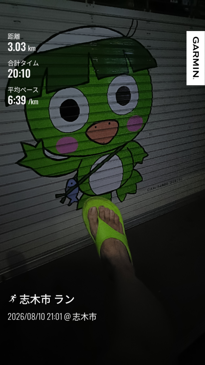 走行画像