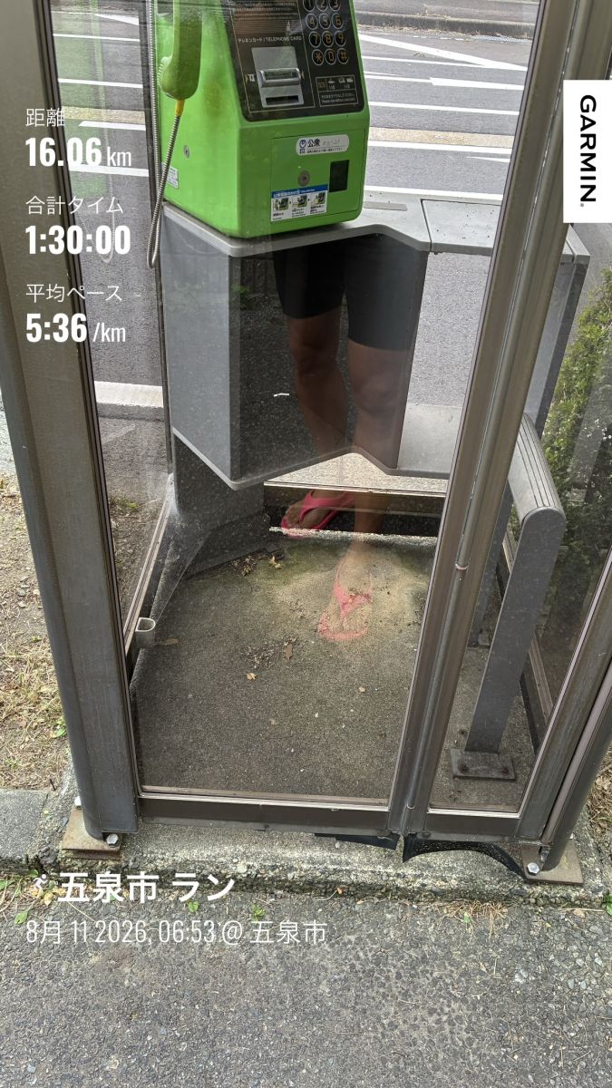 走行画像