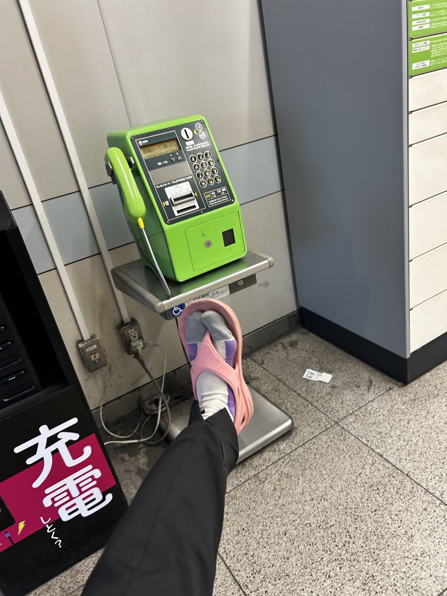 走行画像