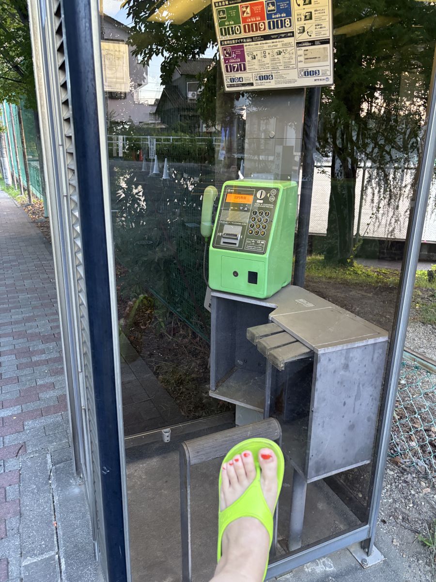 走行画像