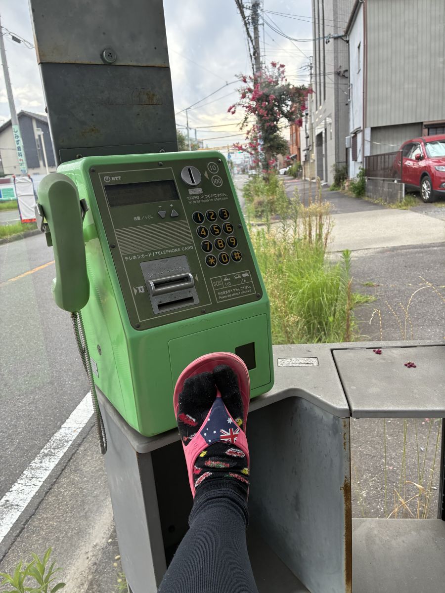走行画像