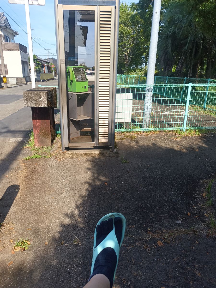 走行画像