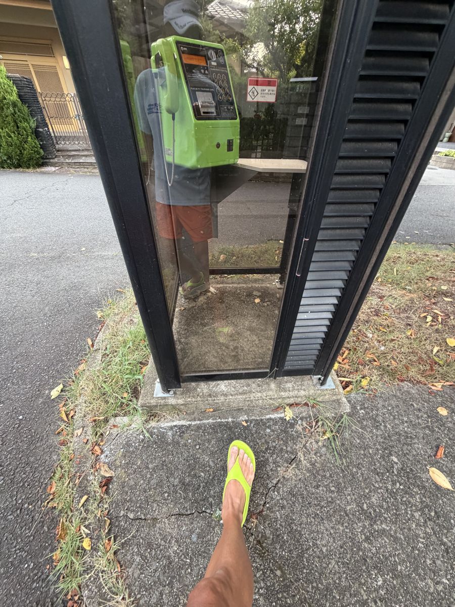 走行画像