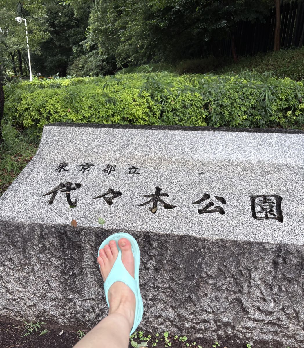 走行画像