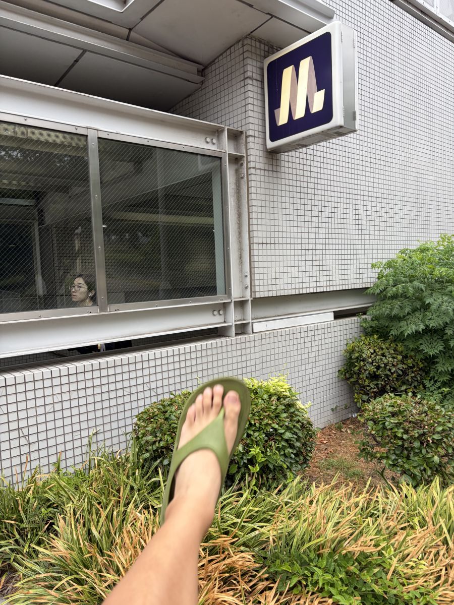 走行画像