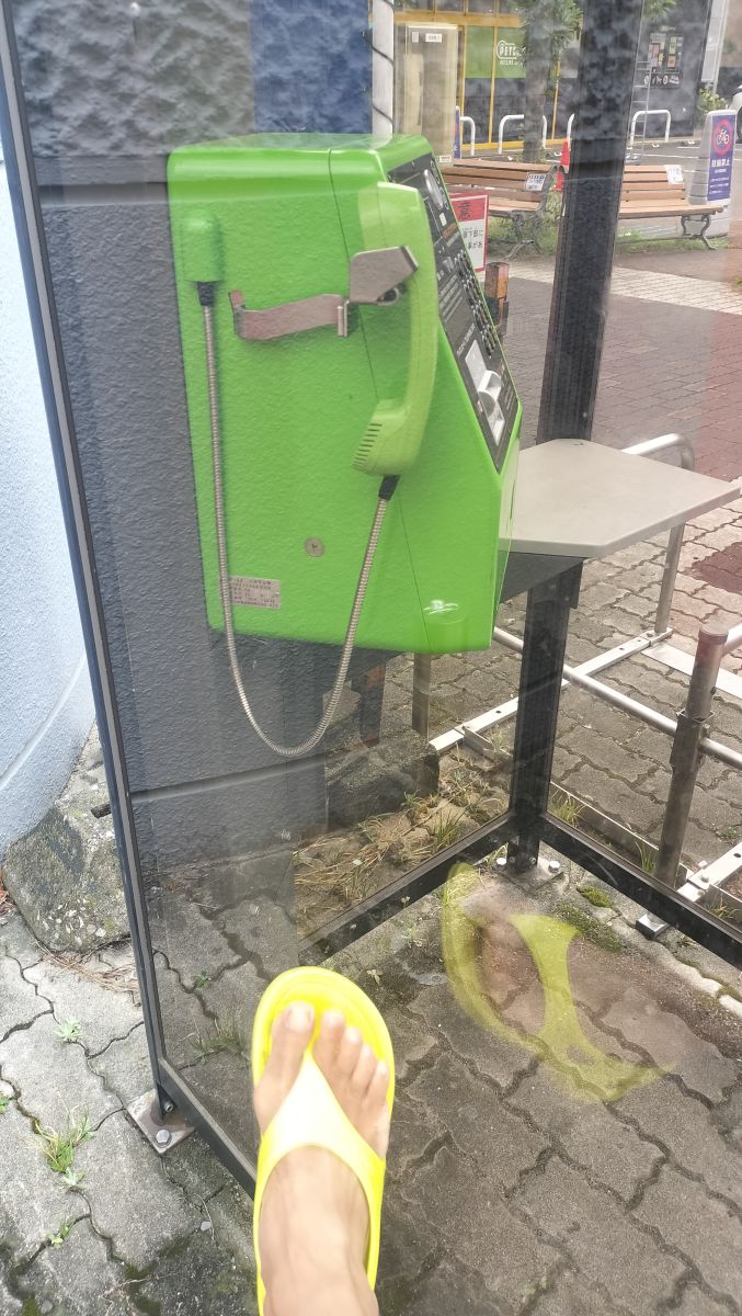 走行画像