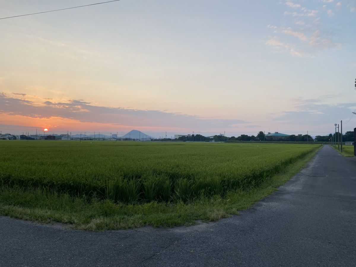 走行画像