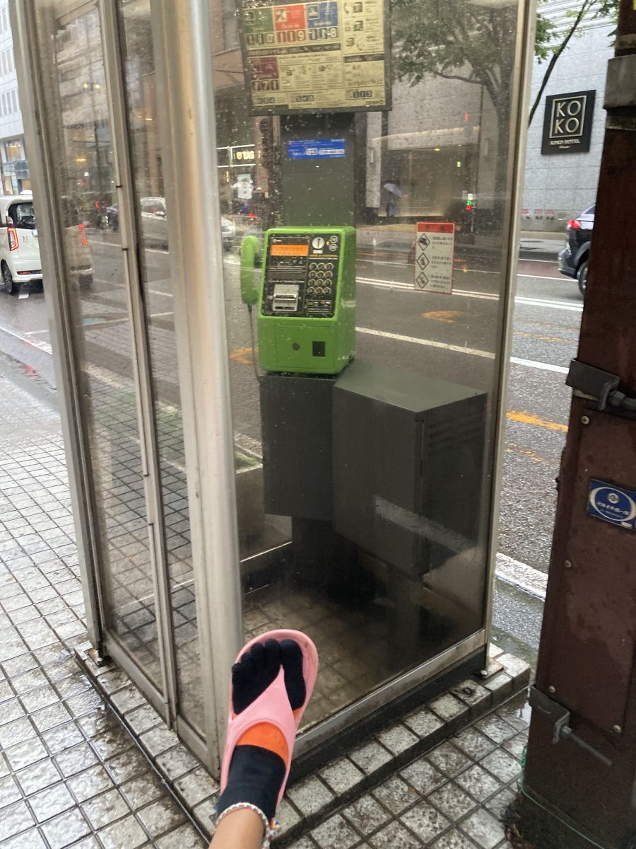 走行画像
