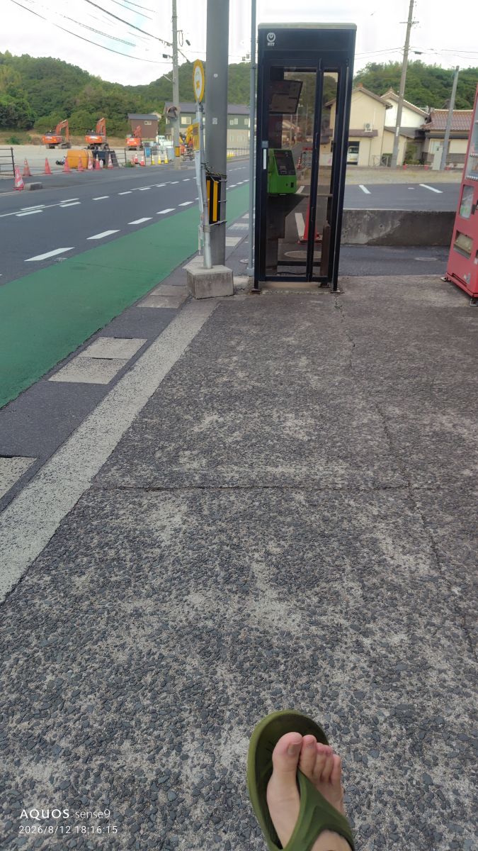 走行画像