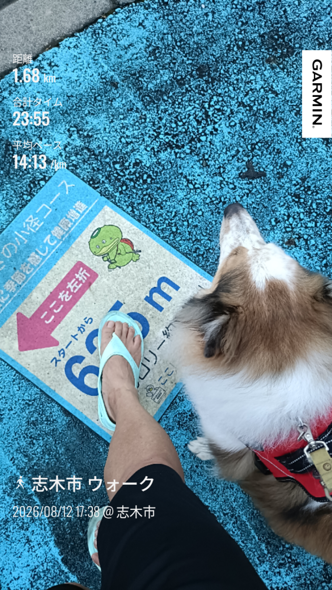走行画像