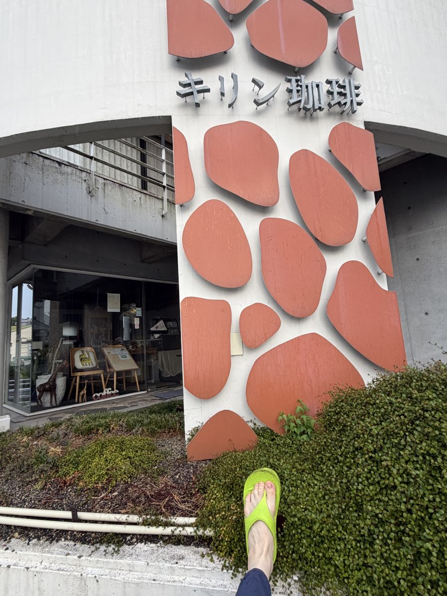 走行画像