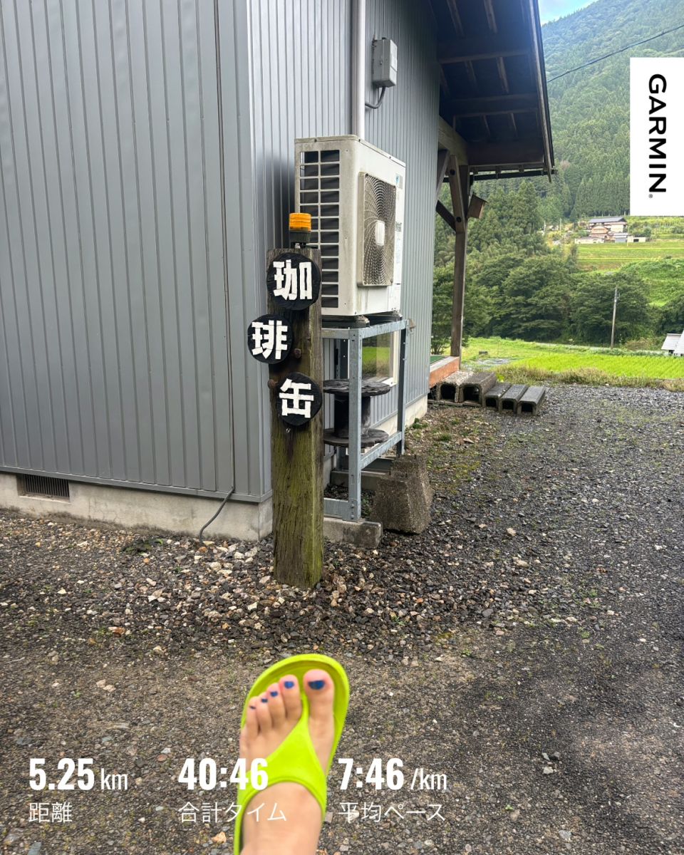 走行画像