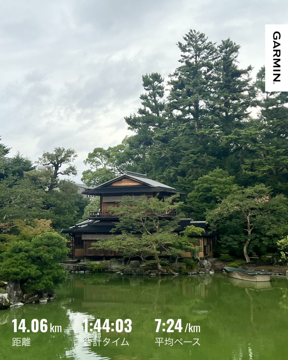 走行画像