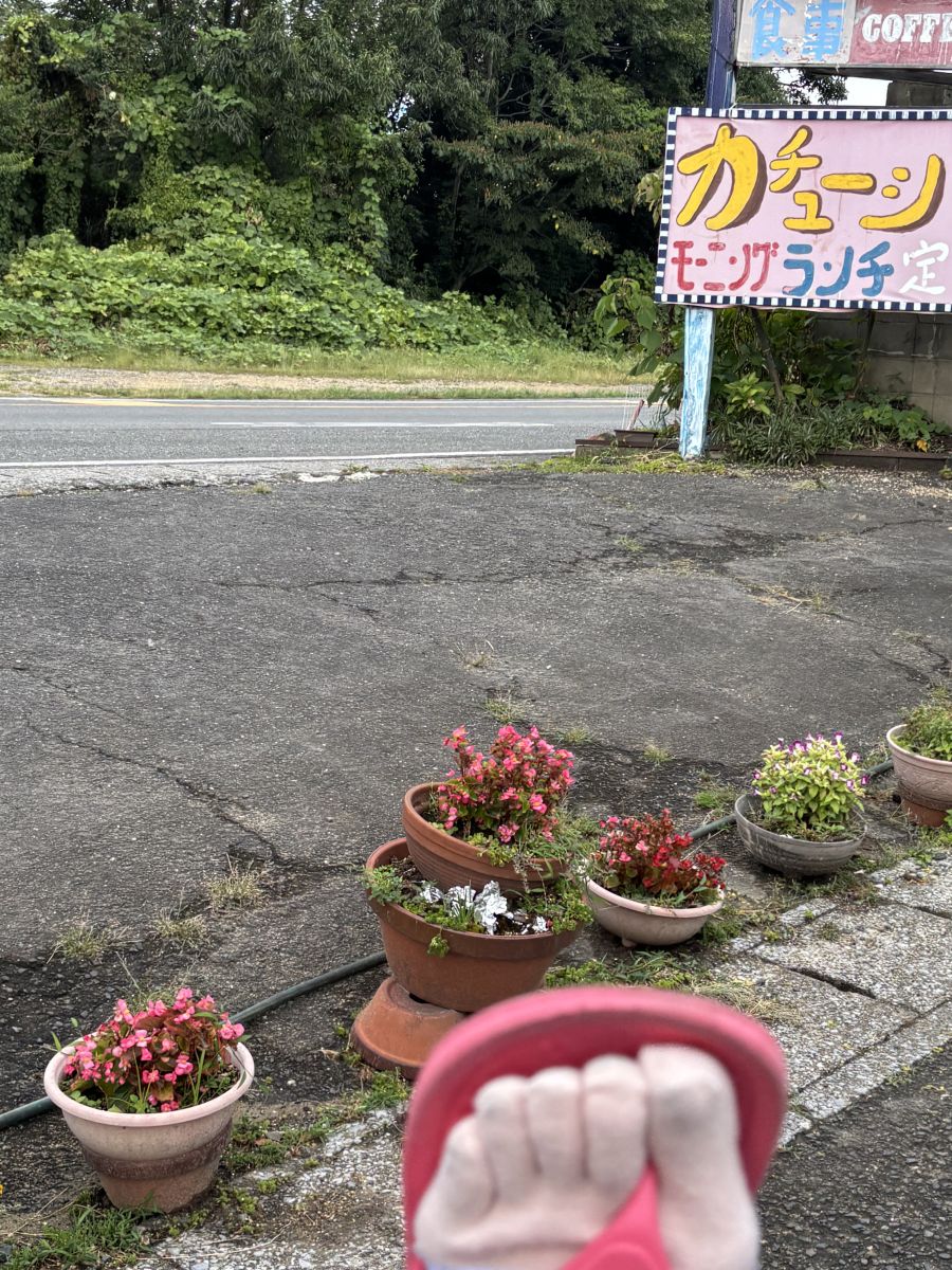 走行画像