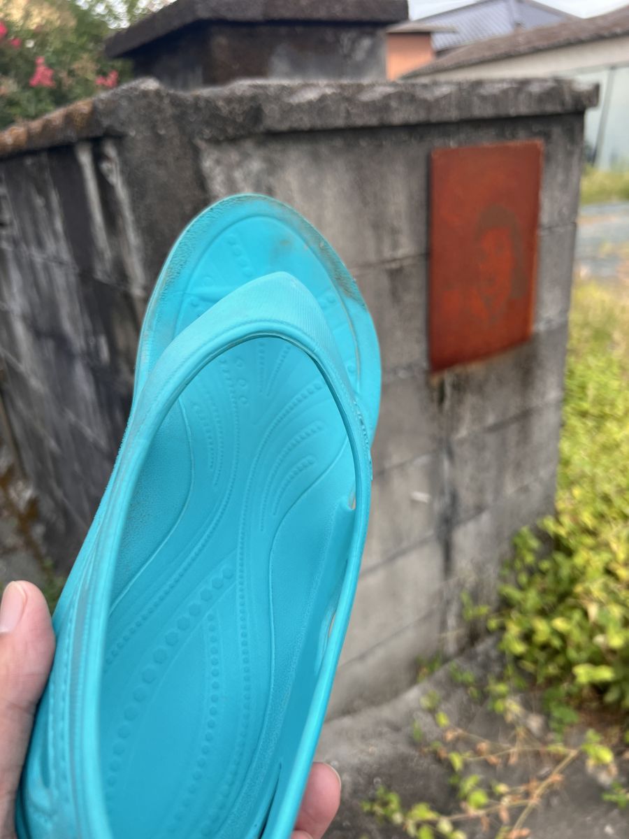 走行画像