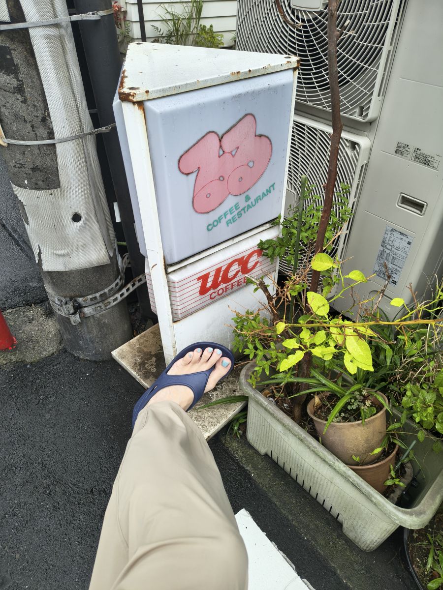 走行画像