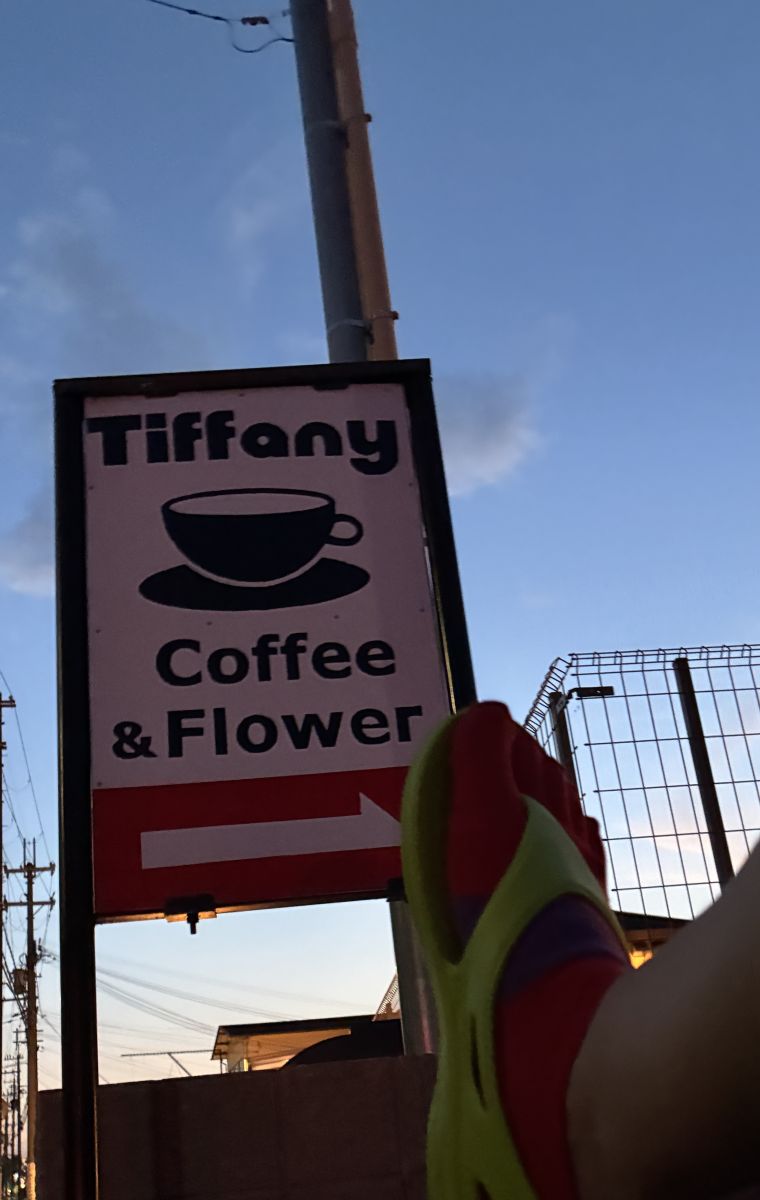 走行画像
