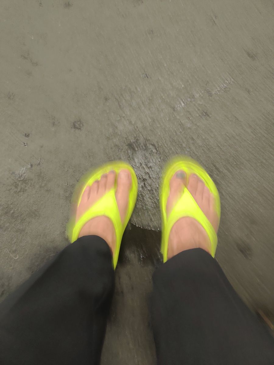 走行画像