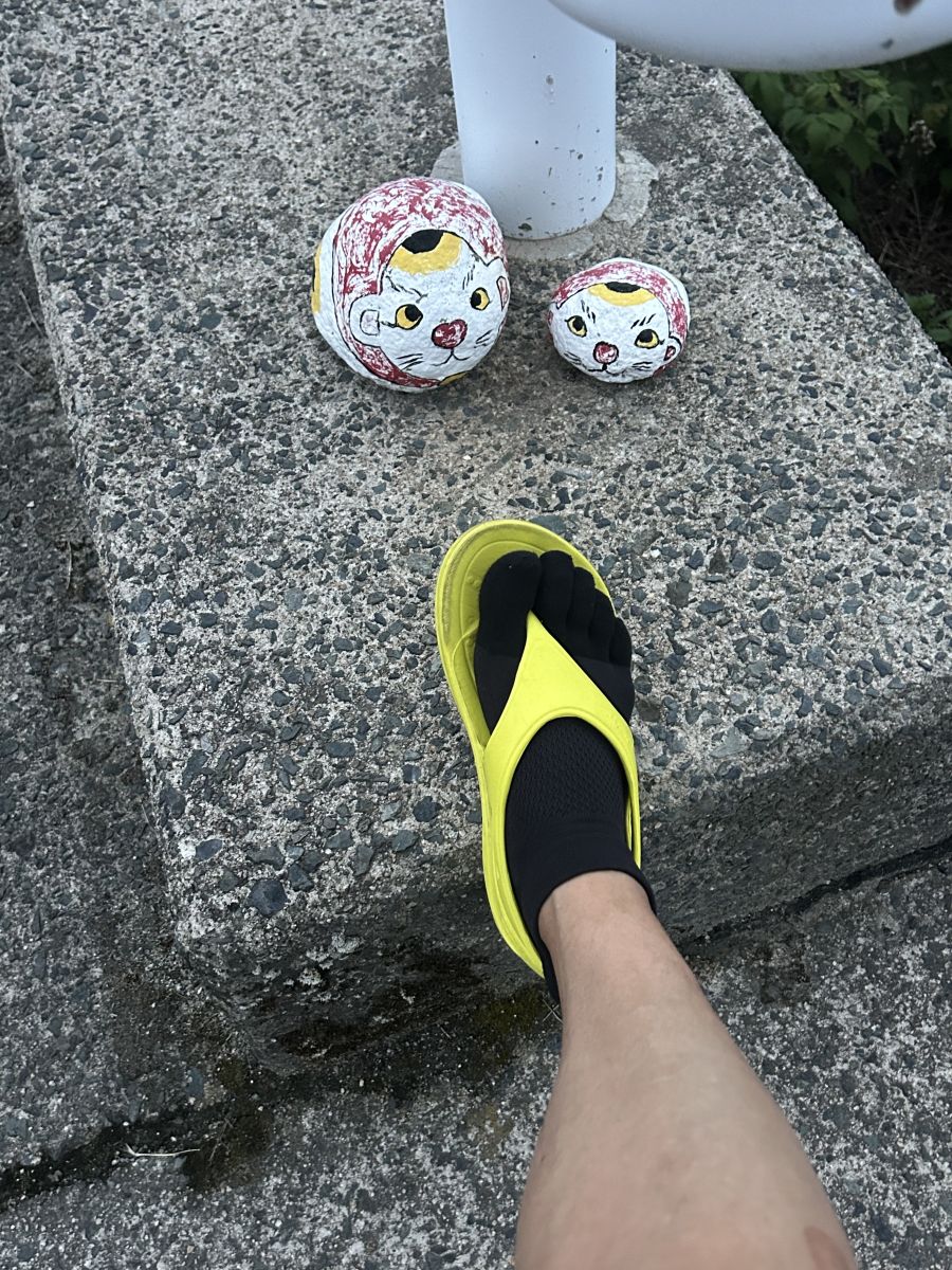 走行画像