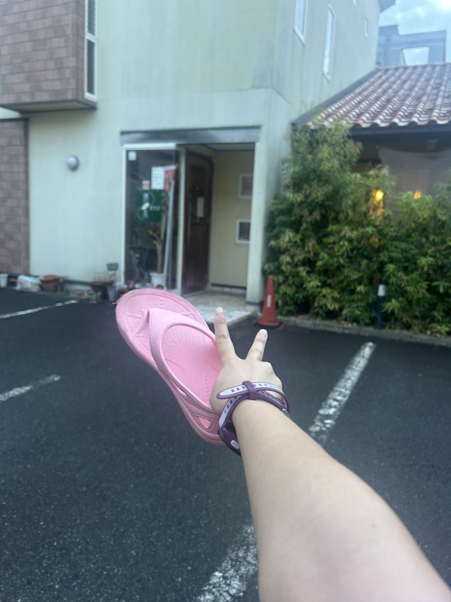 走行画像