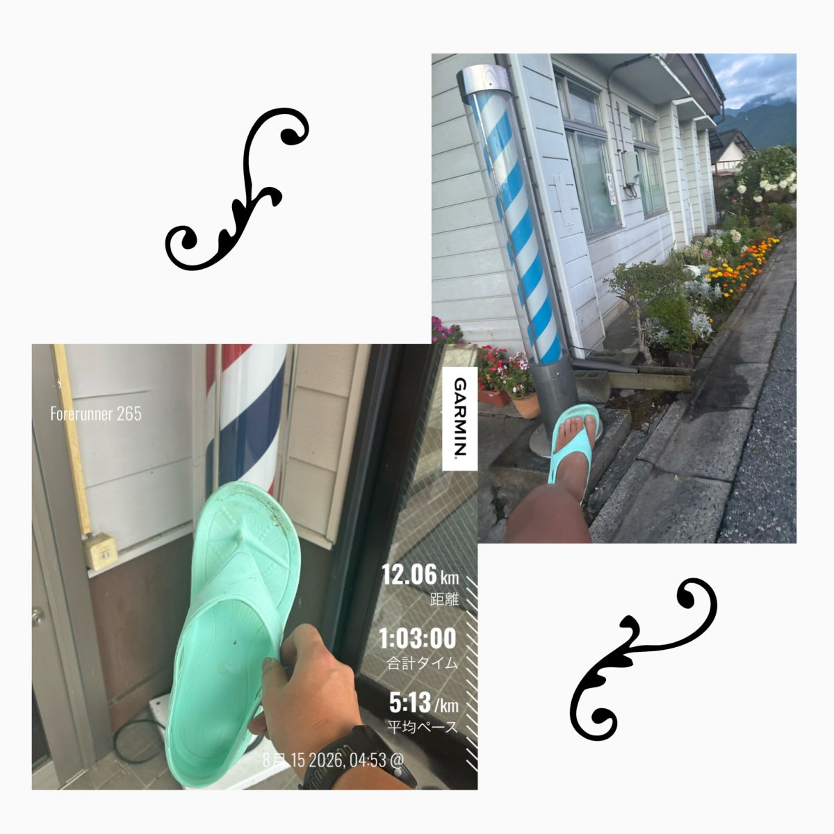 走行画像