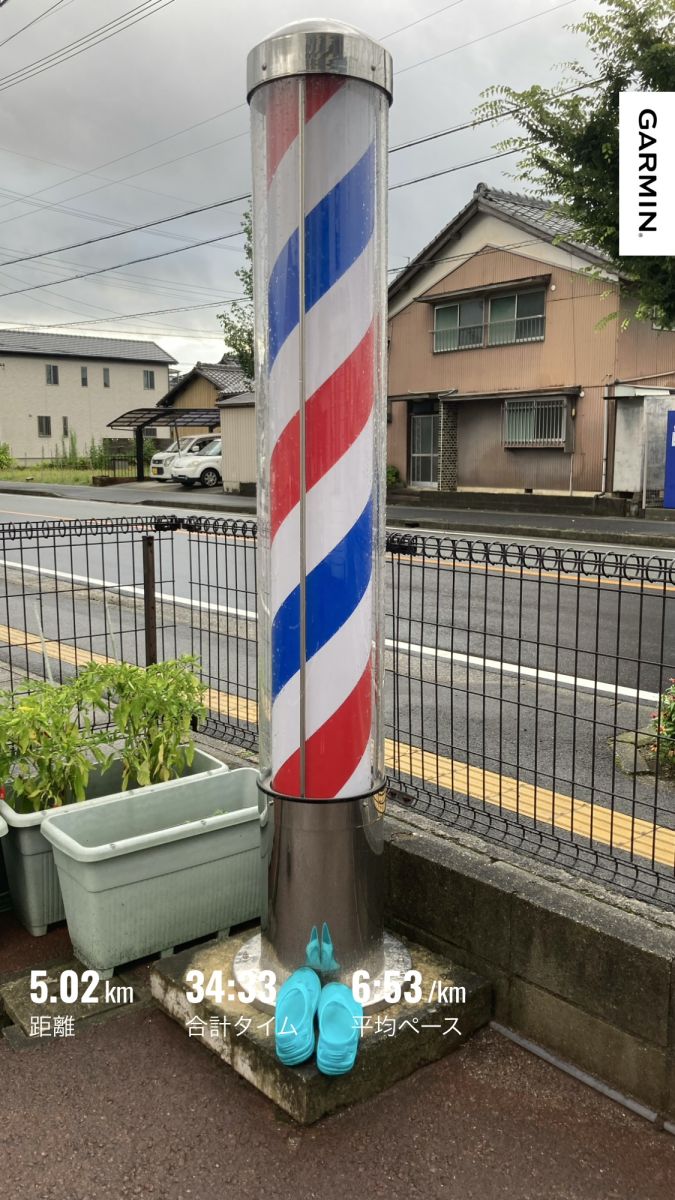 走行画像
