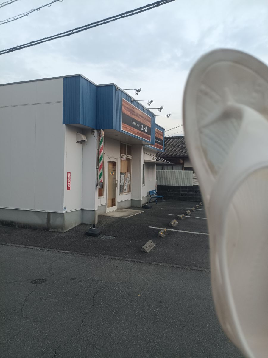 走行画像