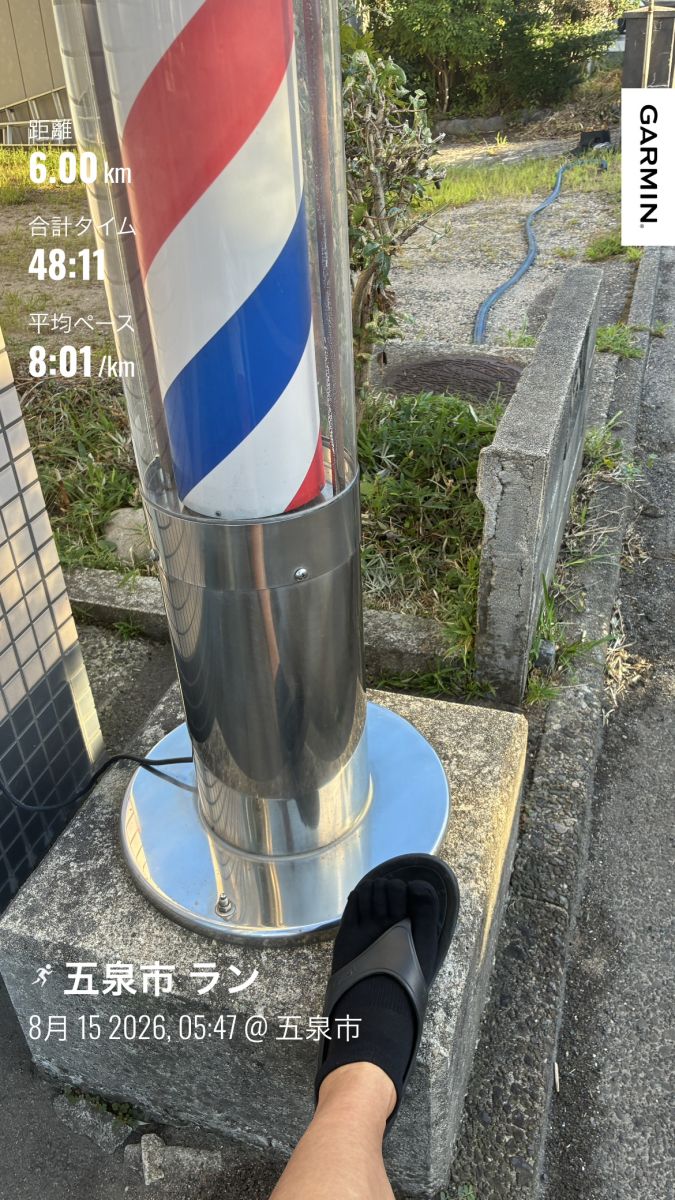 走行画像