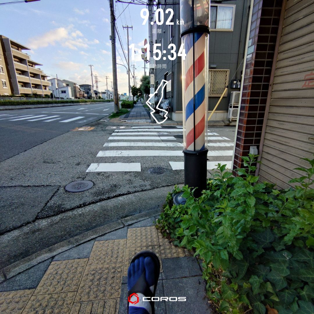 走行画像
