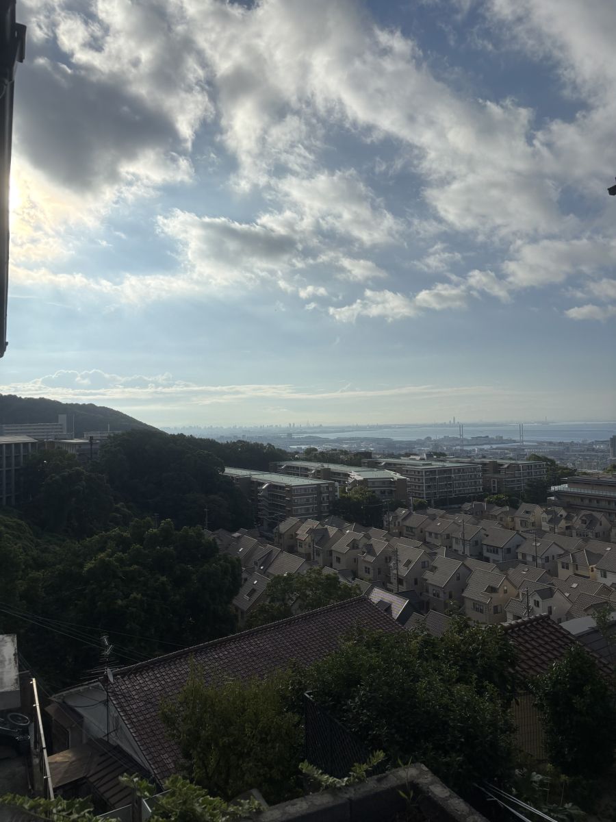 走行画像