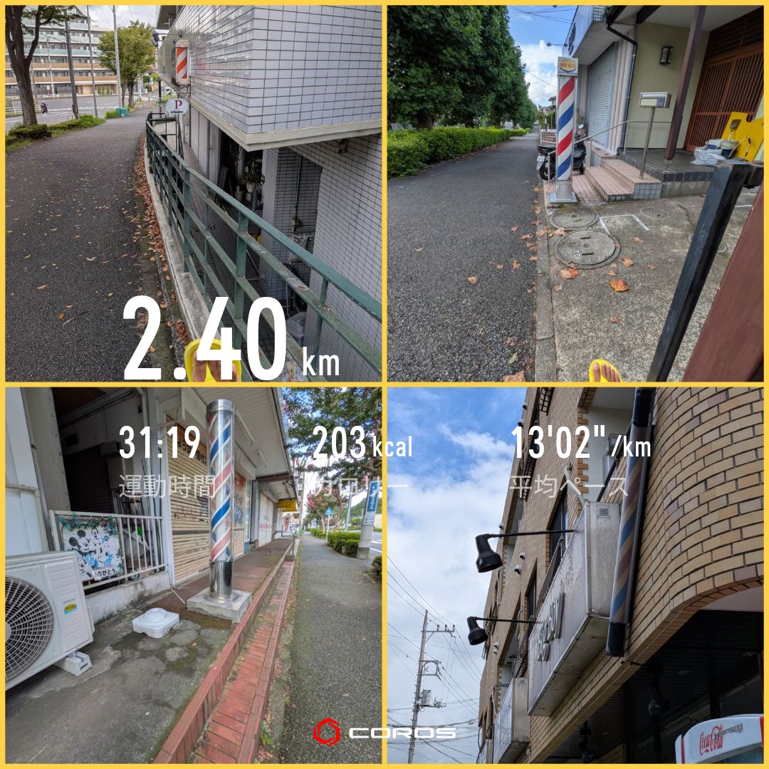 走行画像