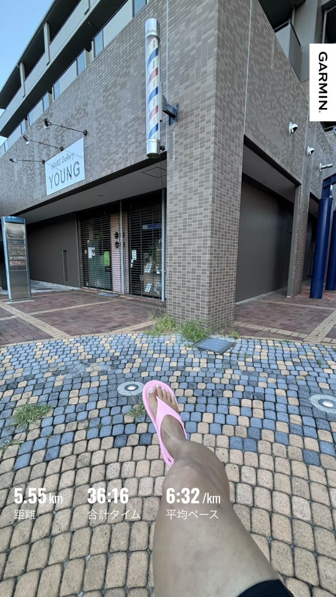 走行画像